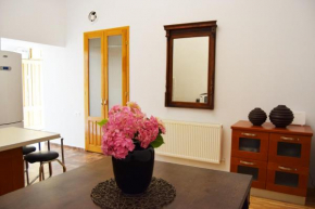 Отель Contessa Central Apartment   Клуй-Напока